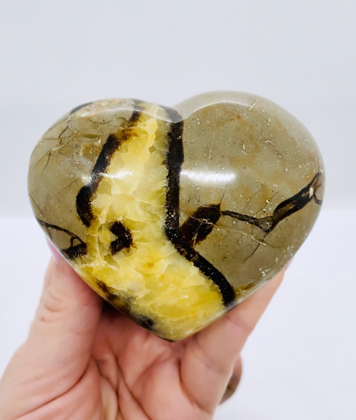 Septarian Heart