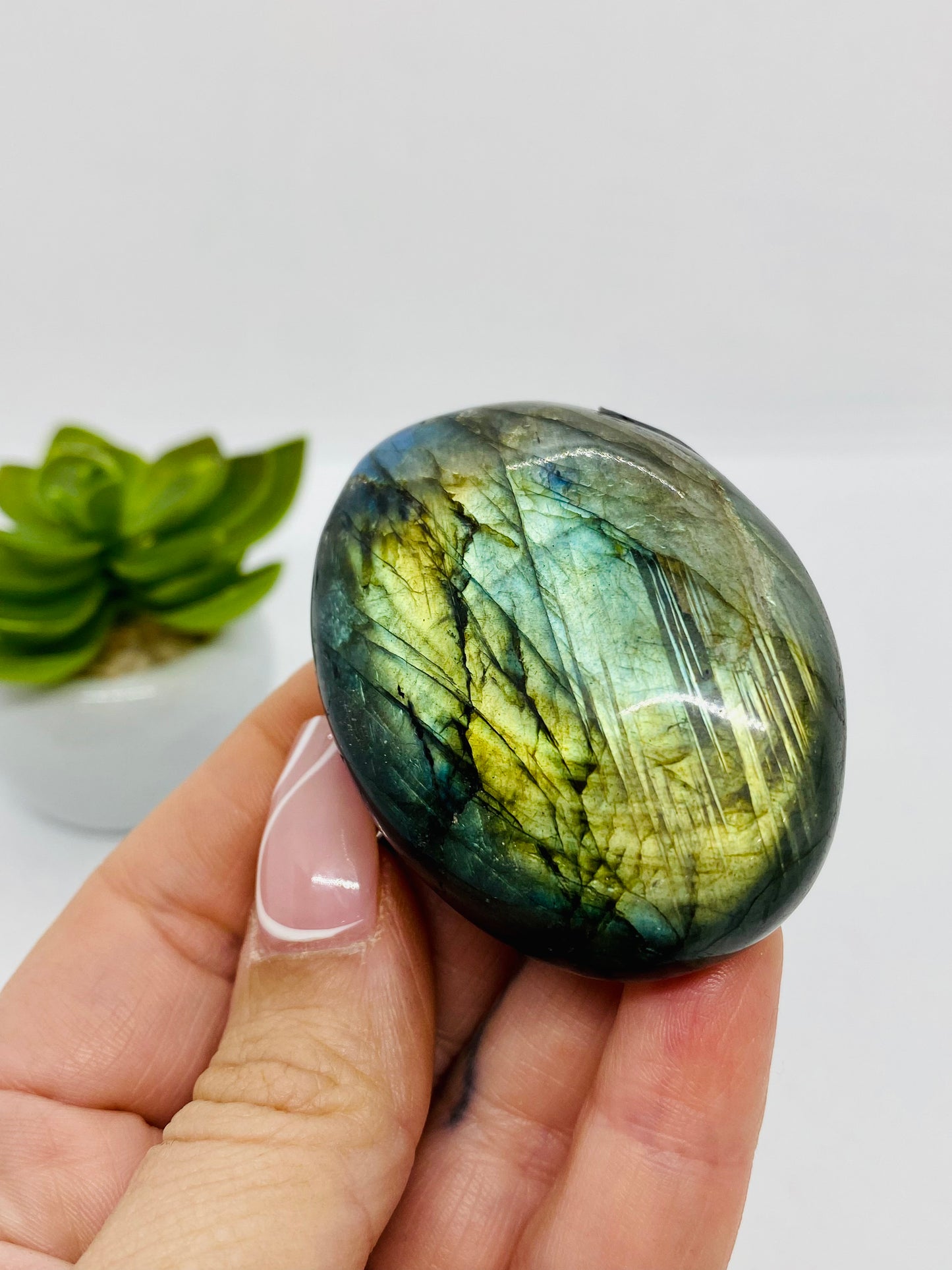 Labradorite Palm