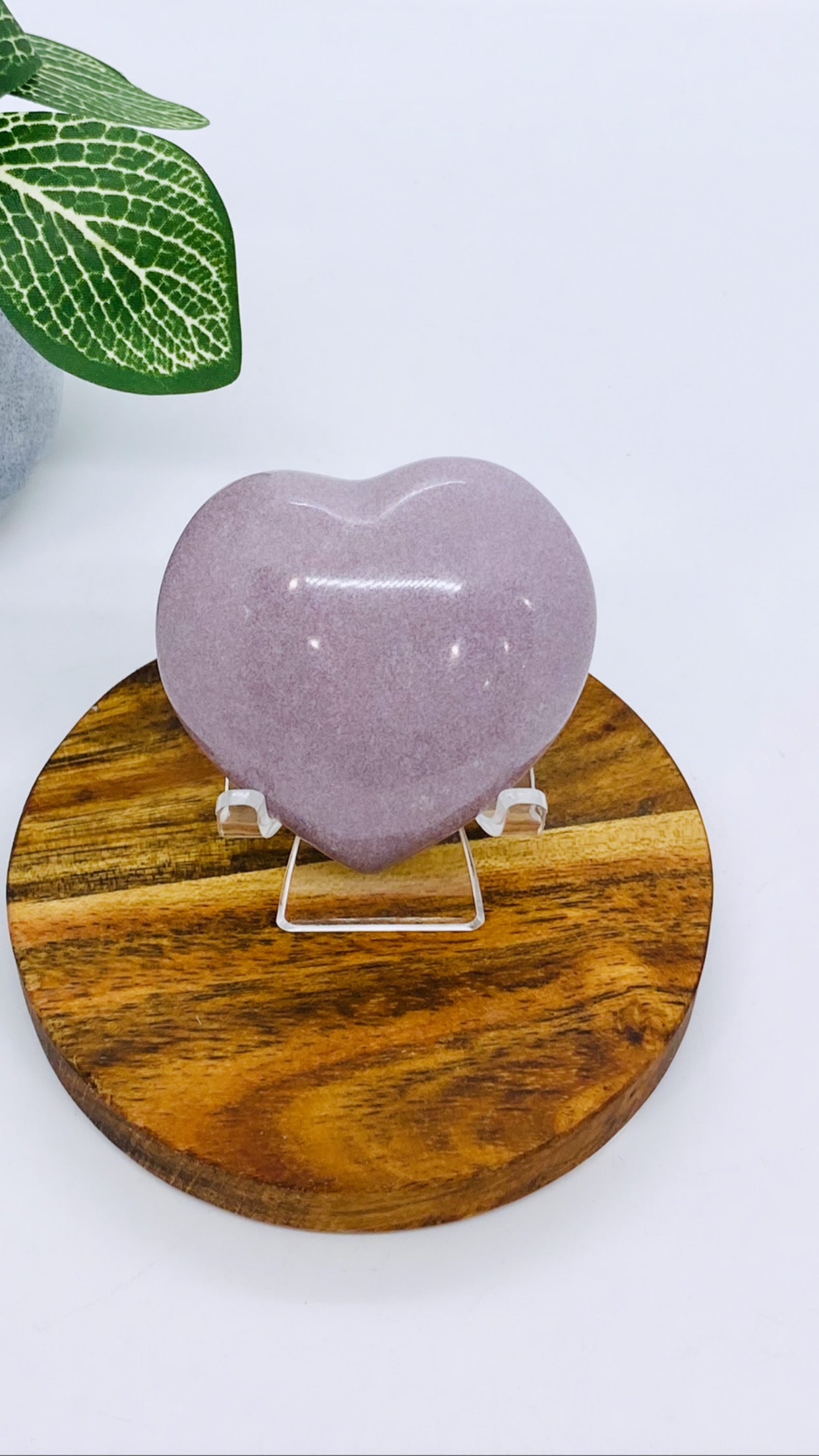 Ocean Jasper Heart