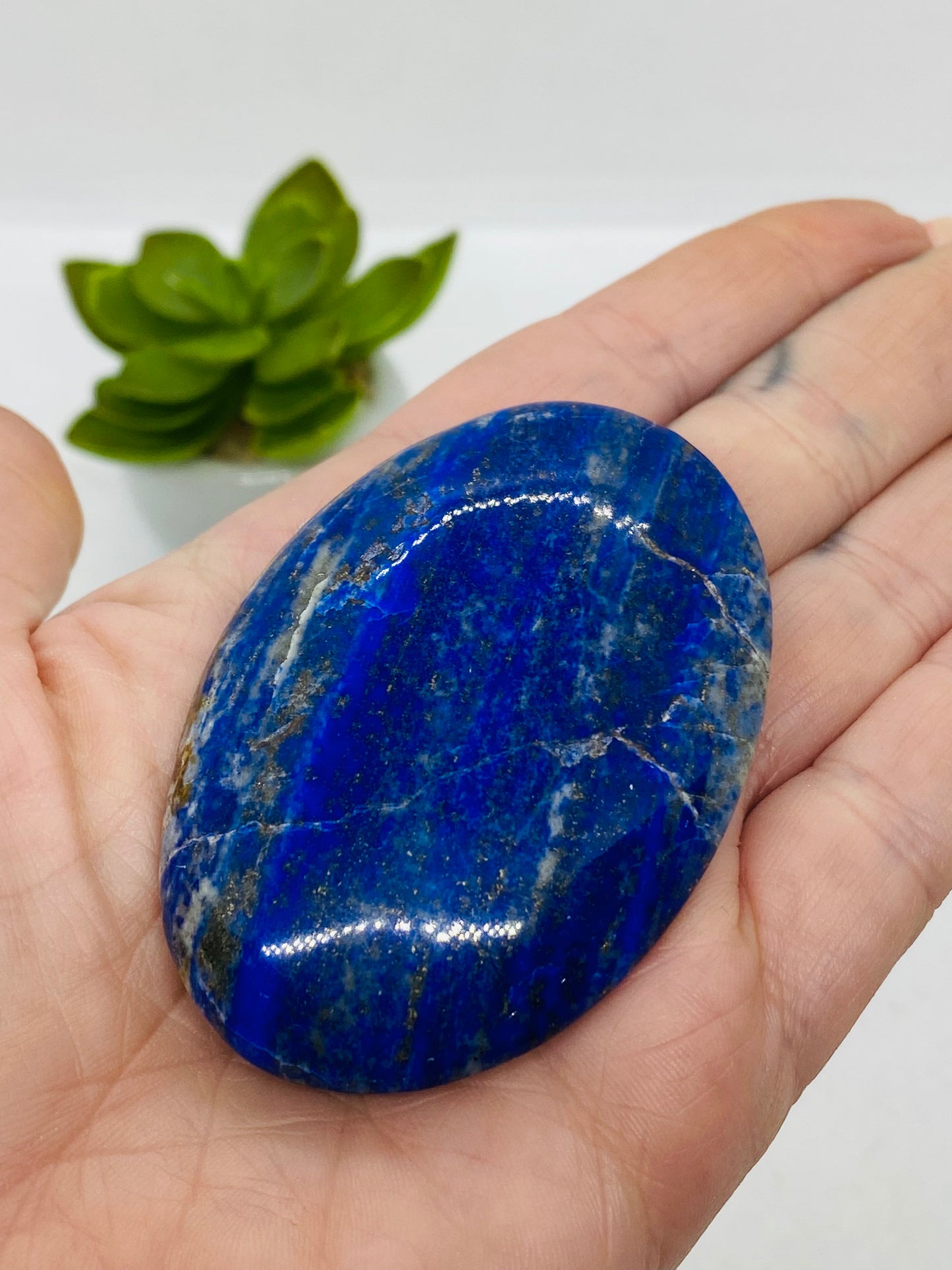 Lapis Lazuli Palm