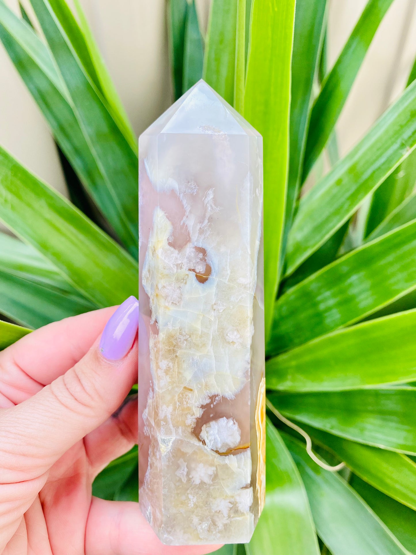 Flower Agate Point