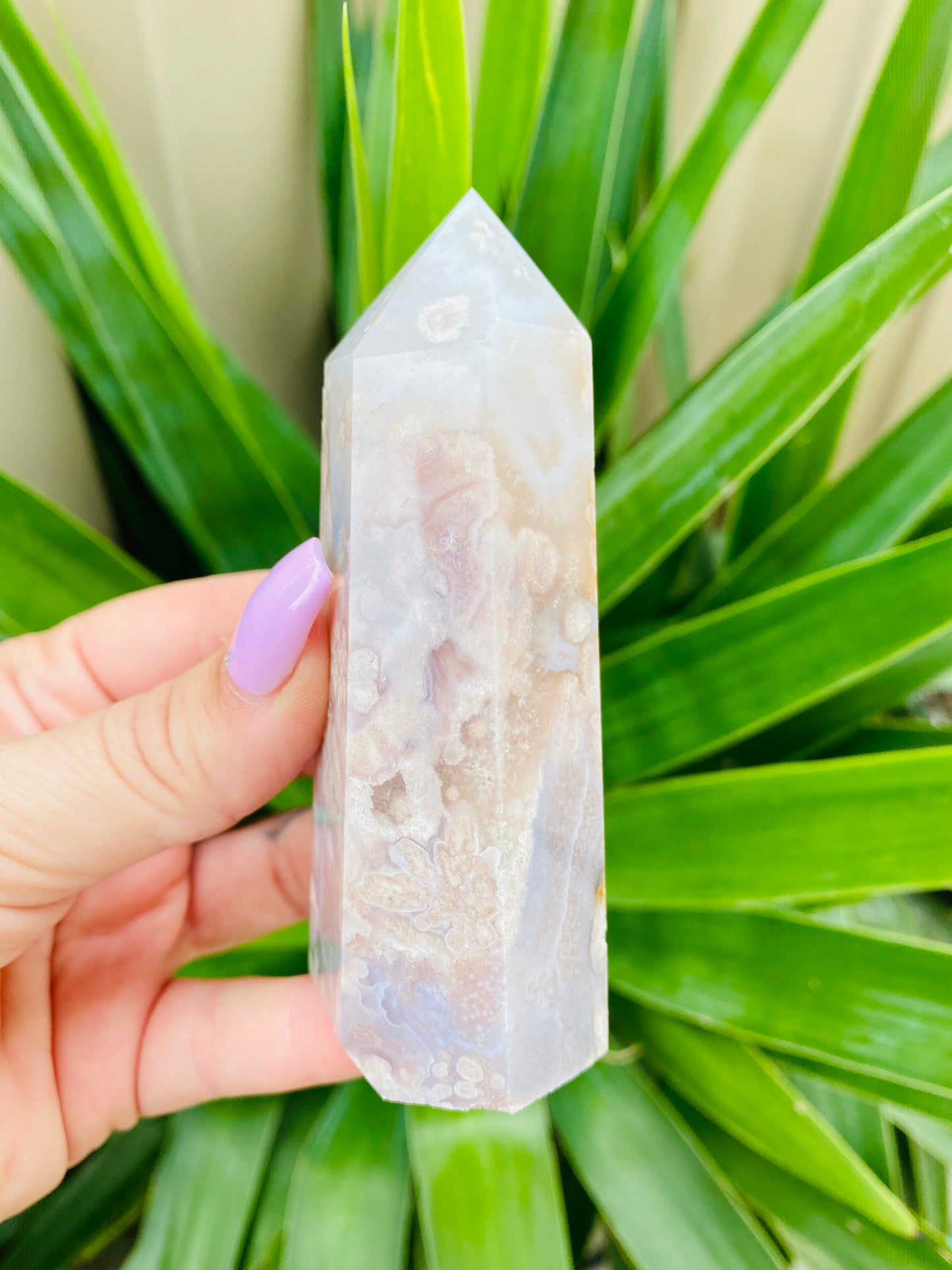 Flower Agate Point