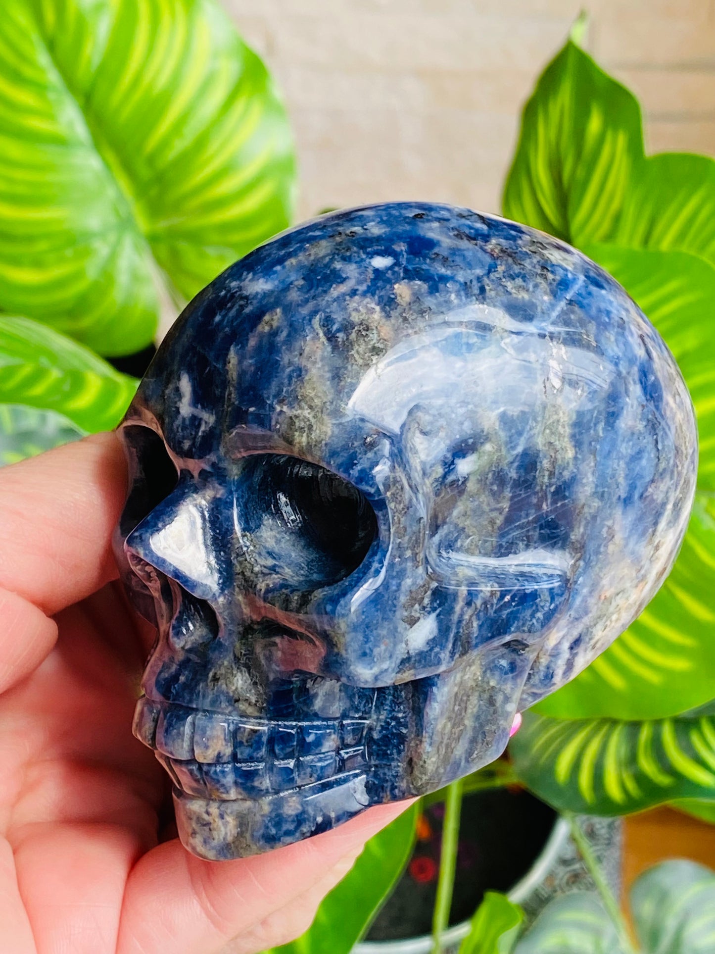 Sodalite skull
