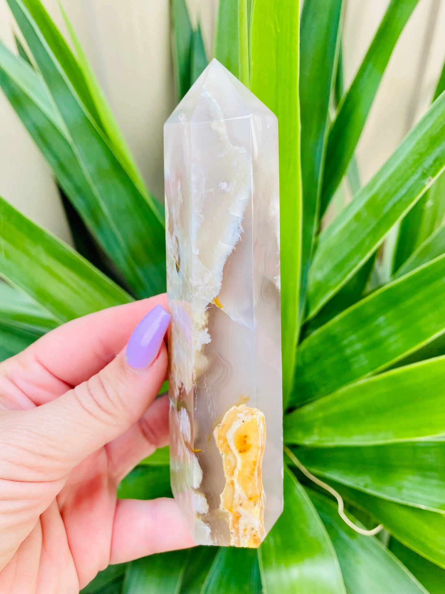 Flower Agate Point
