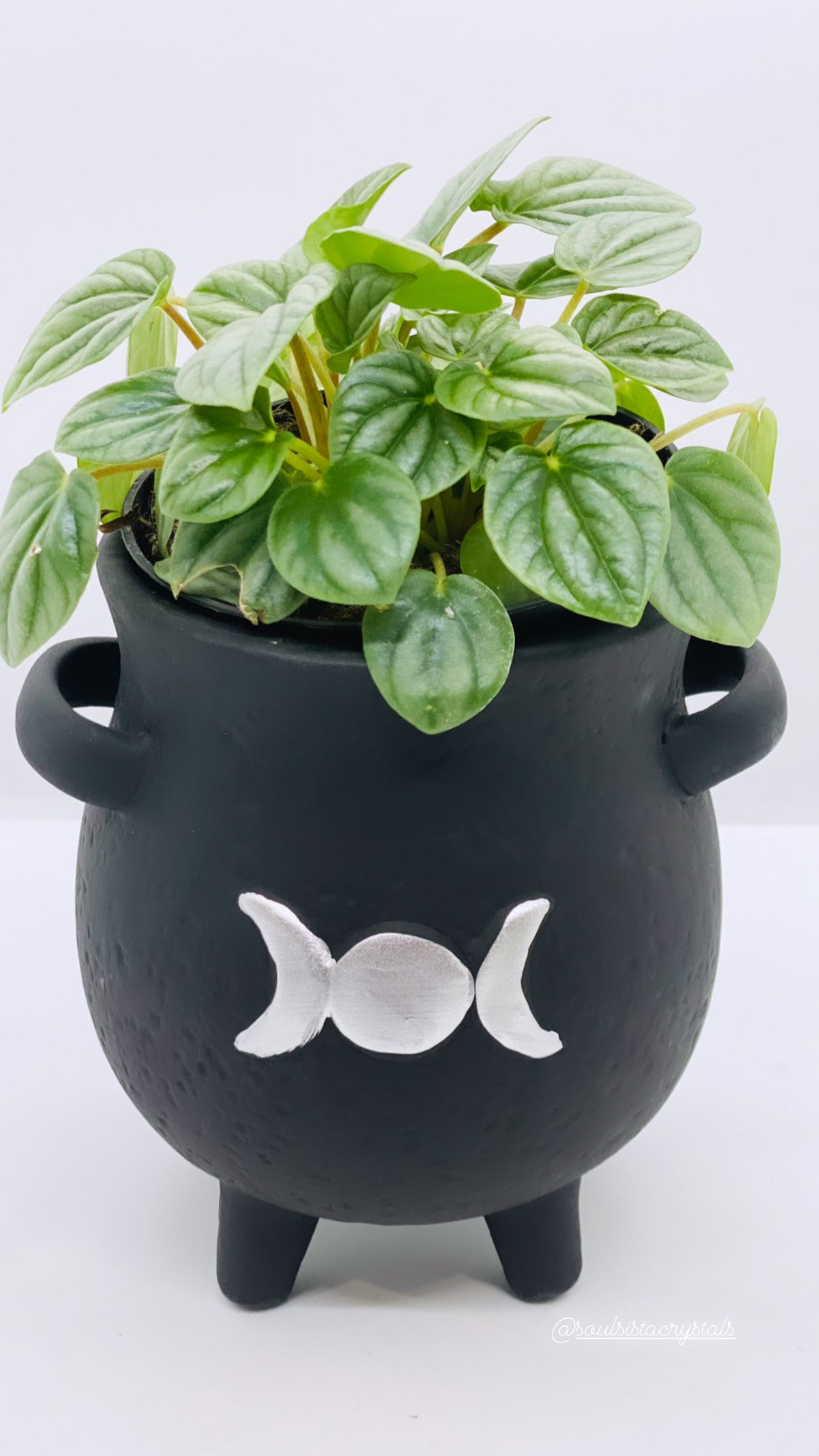 Cauldron Sage - Planter holder