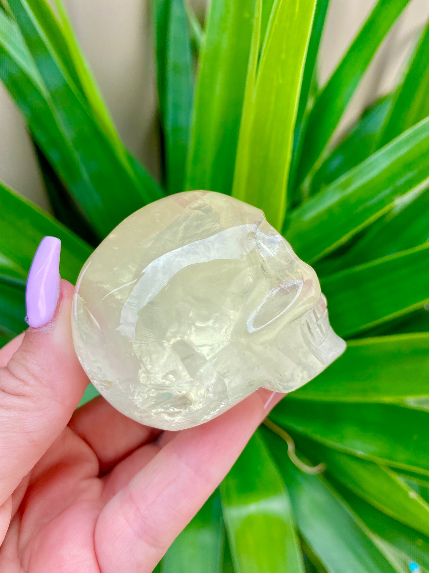 Citrine Skull
