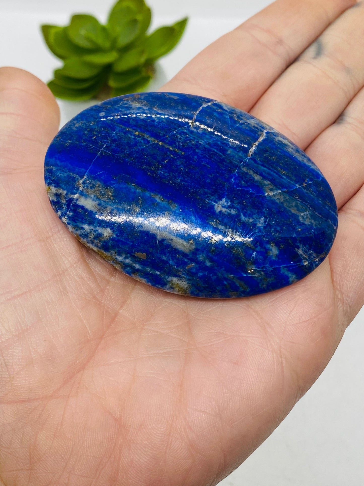 Lapis Lazuli Palm
