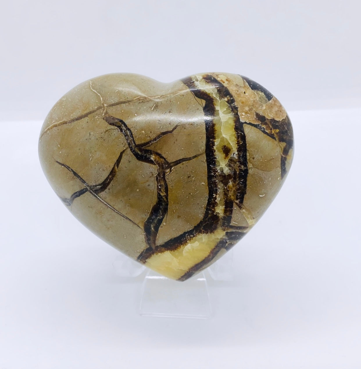 Septarian Heart