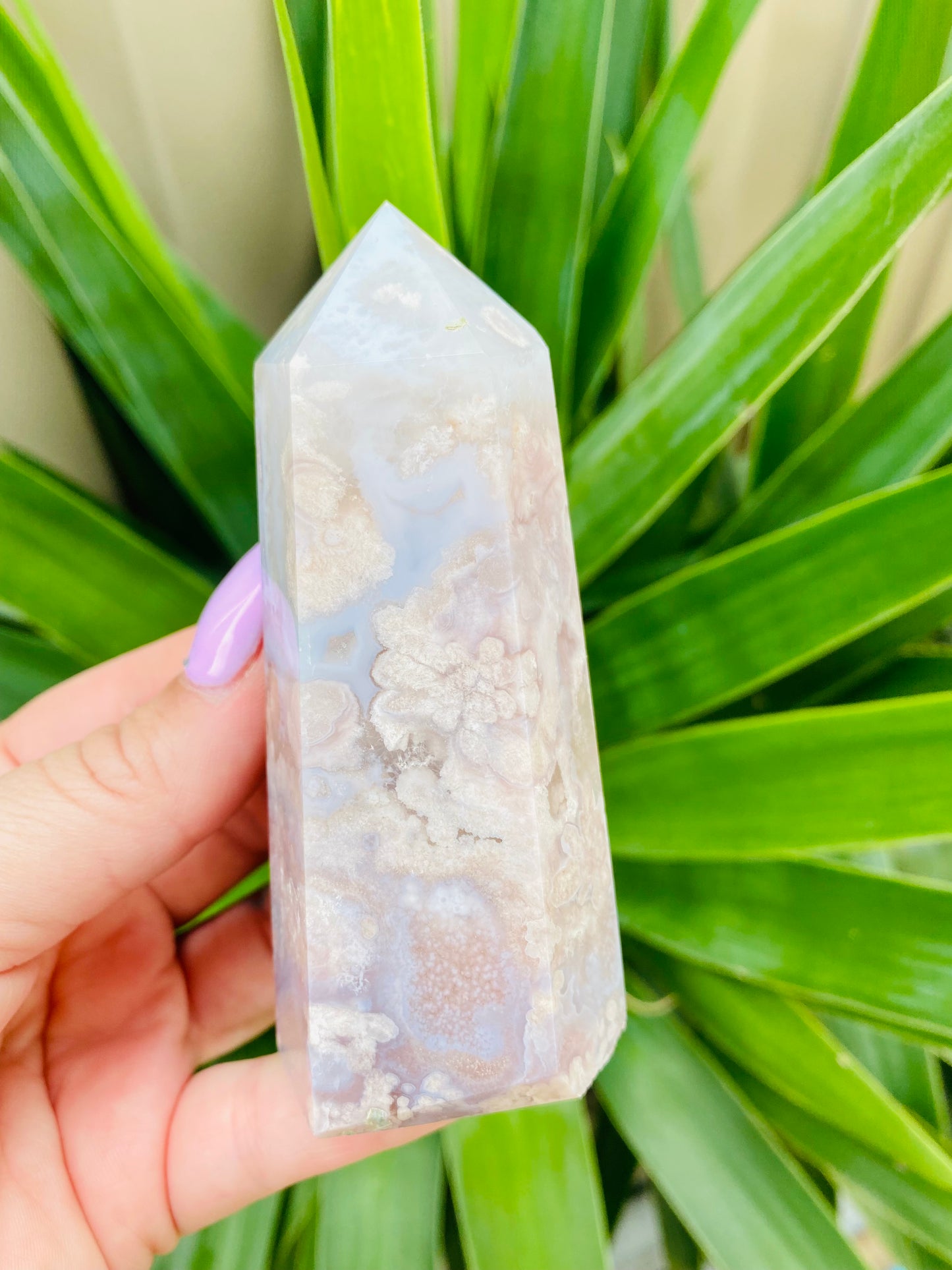 Flower Agate Point