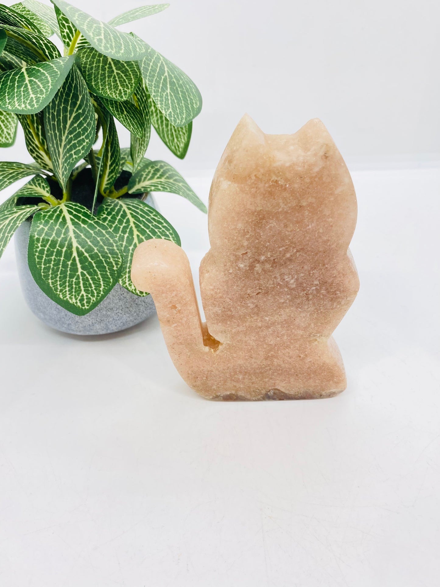 Pink Amethyst Cat