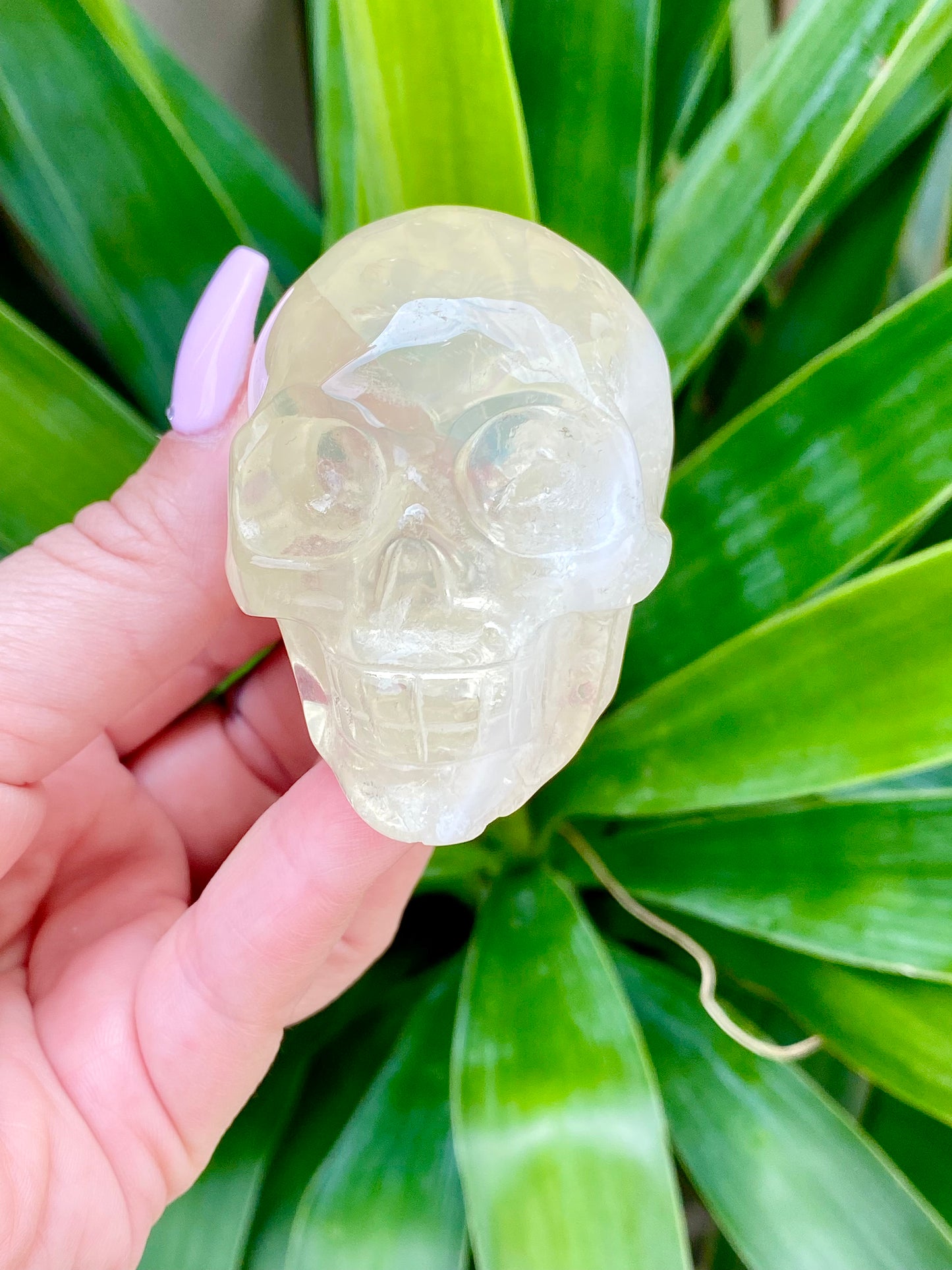 Citrine Skull