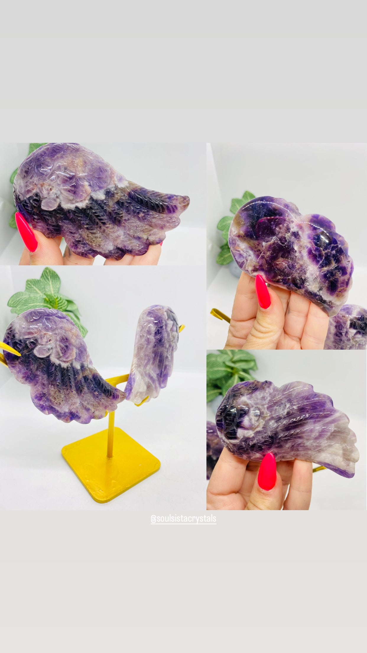 Chevron Amethyst Wings