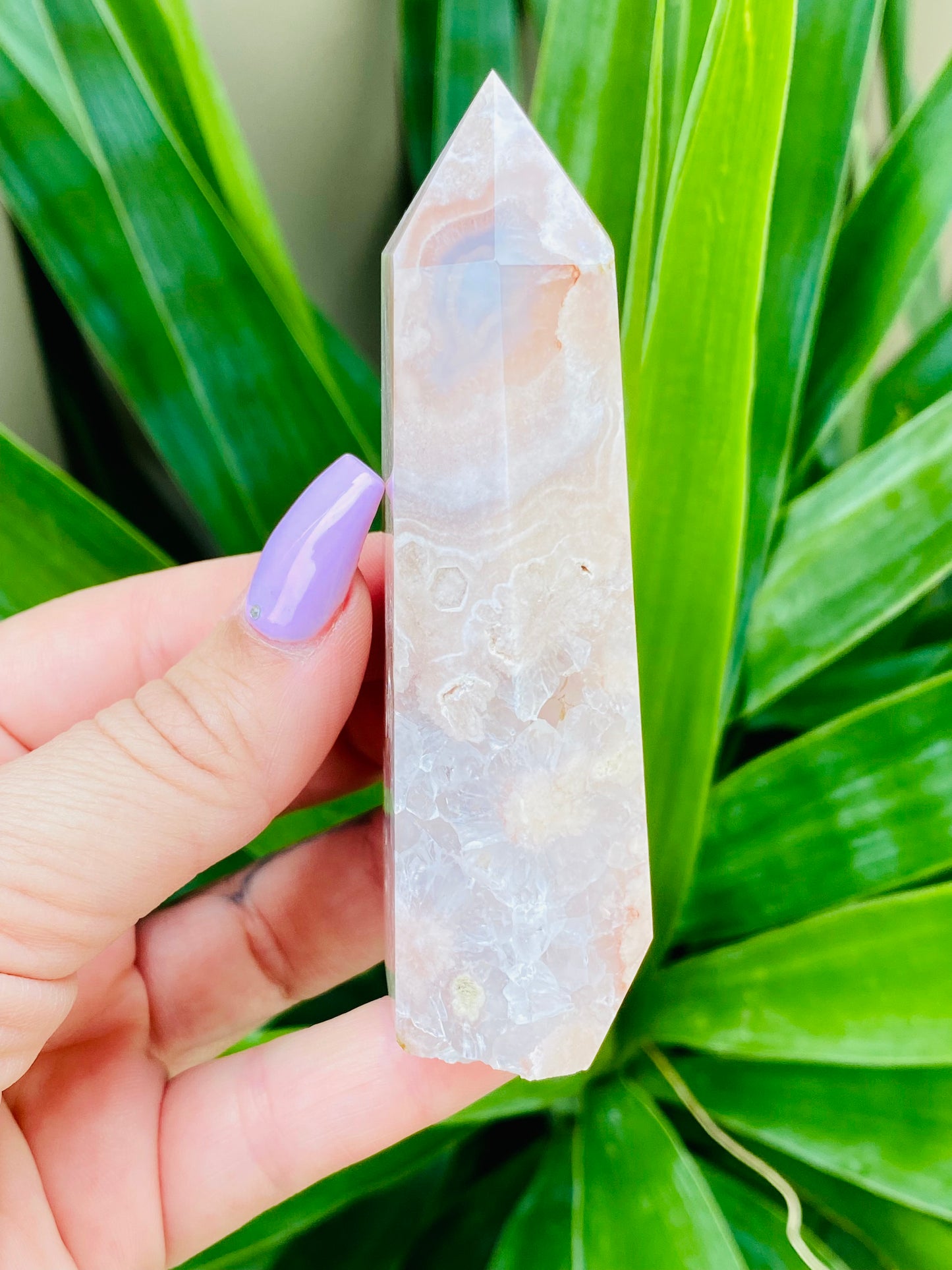 Flower Agate Point