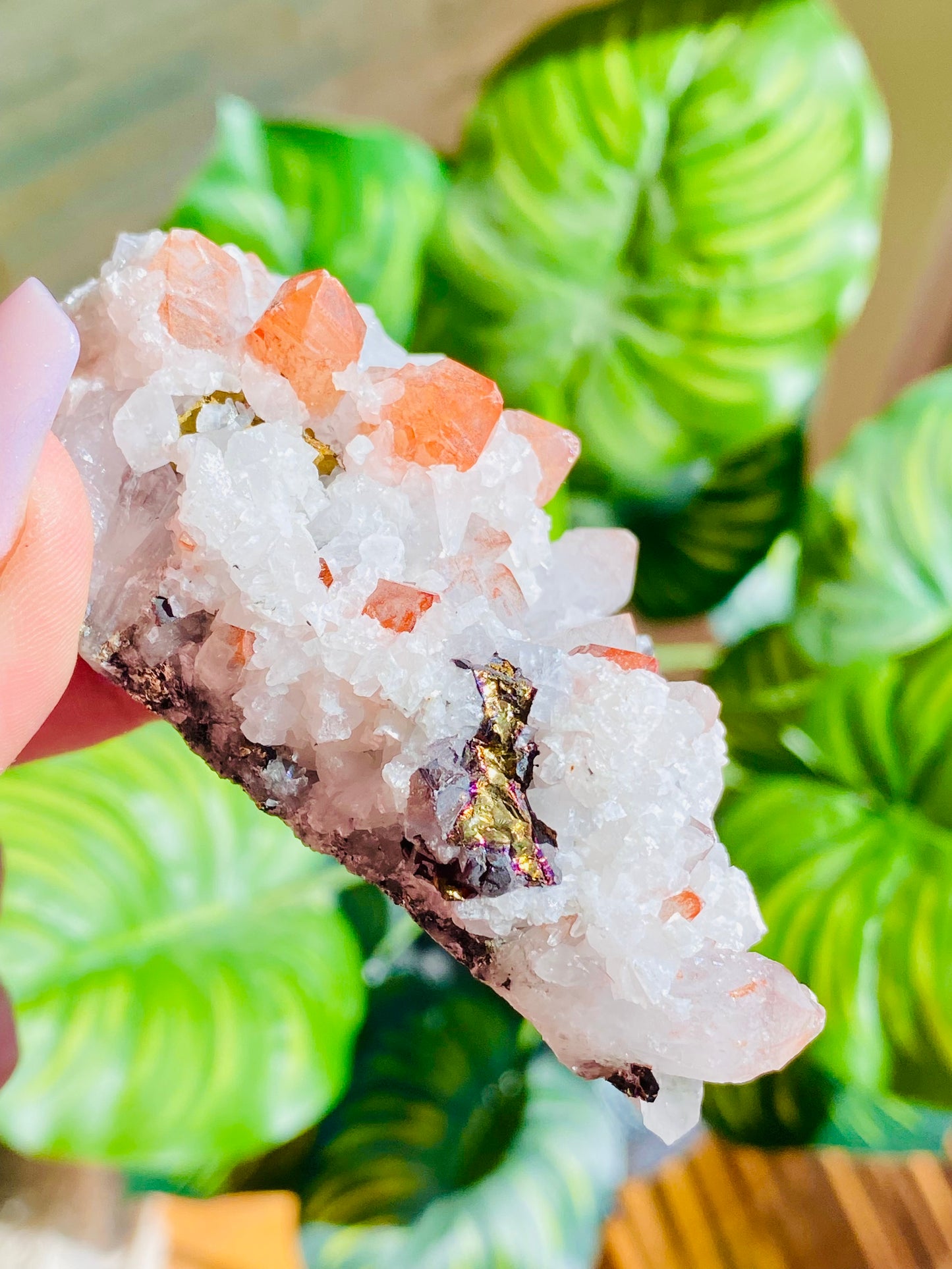 Red Hematite Quartz, Chalcopyrite & Pyrite Specimen