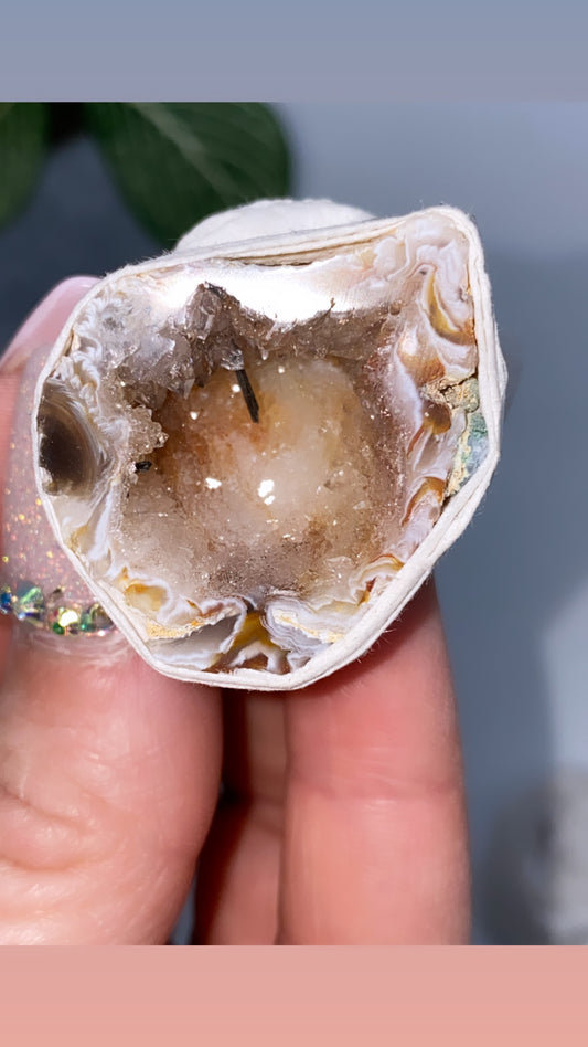 Occo Geode