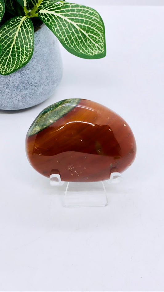 Ocean Jasper Palm