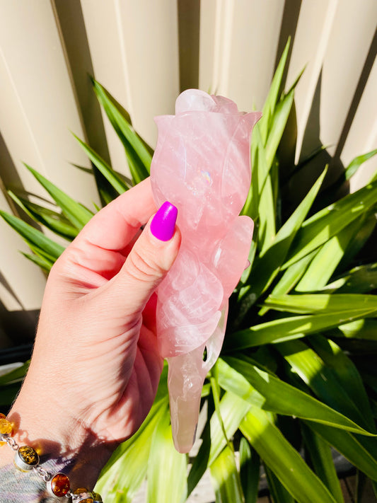 Rose Quartz - Rose