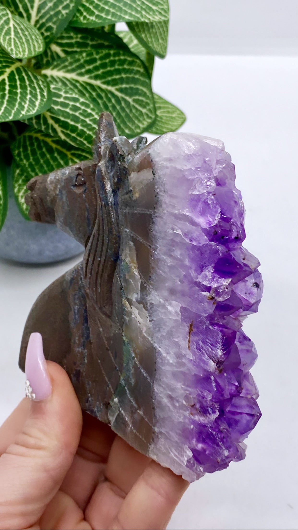 Unicorn Amethyst Cluster
