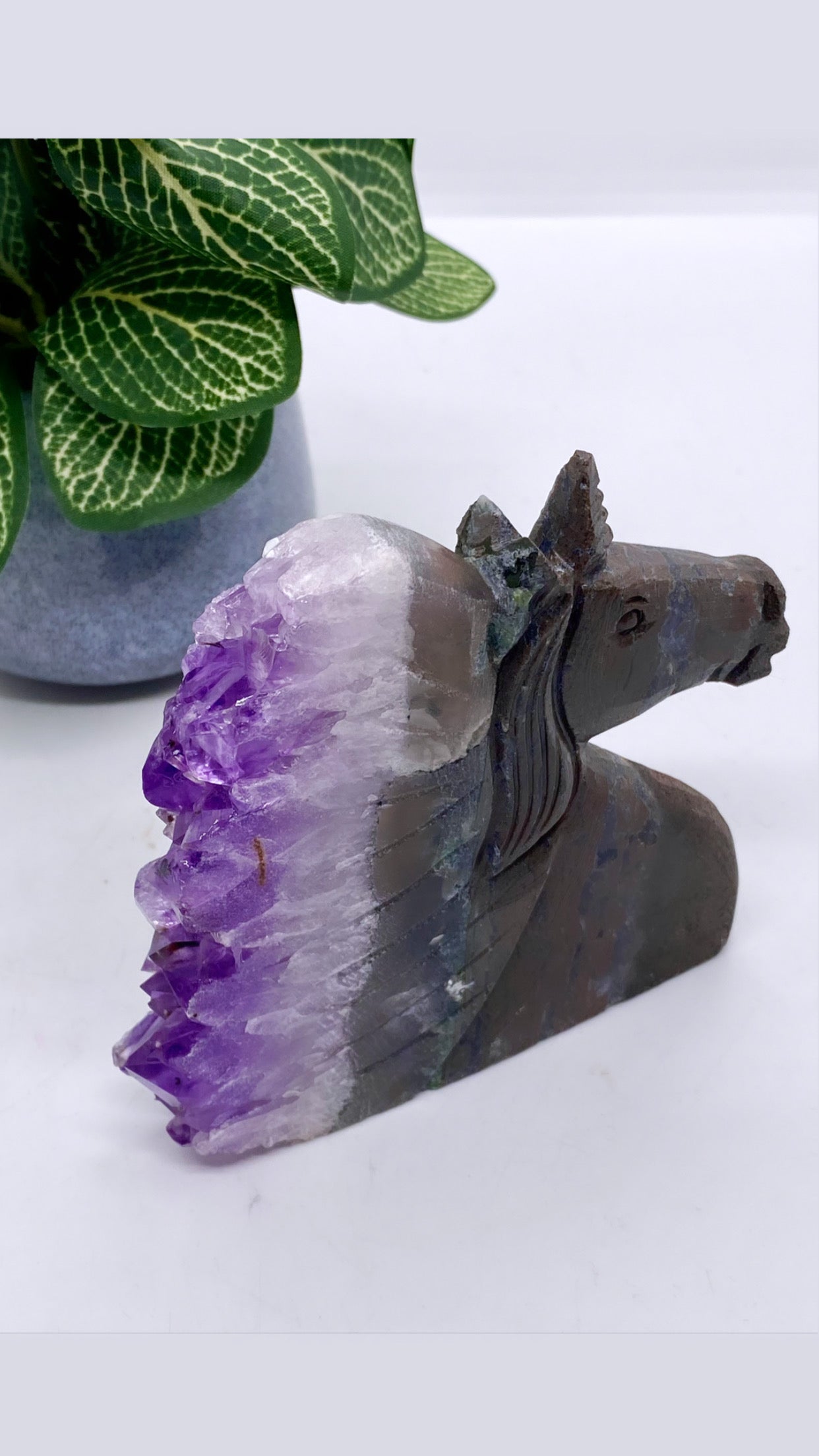Unicorn Amethyst Cluster