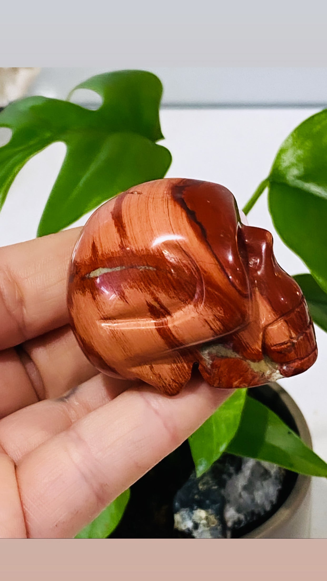 Red Jasper Skull