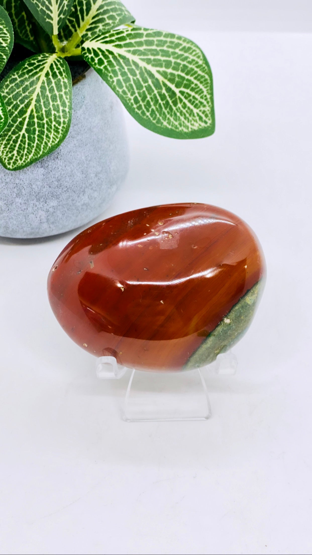 Ocean Jasper Palm