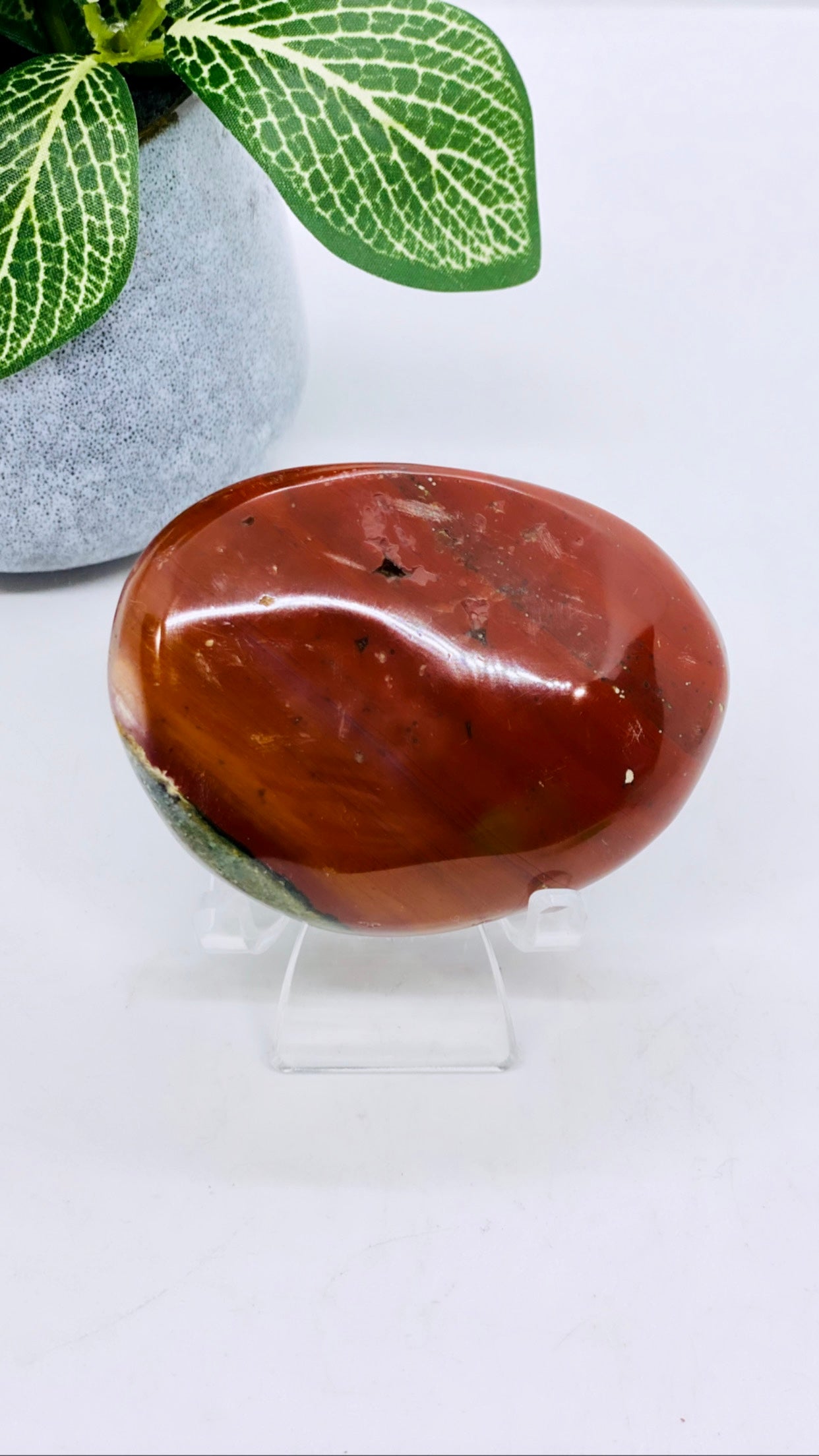 Ocean Jasper Palm