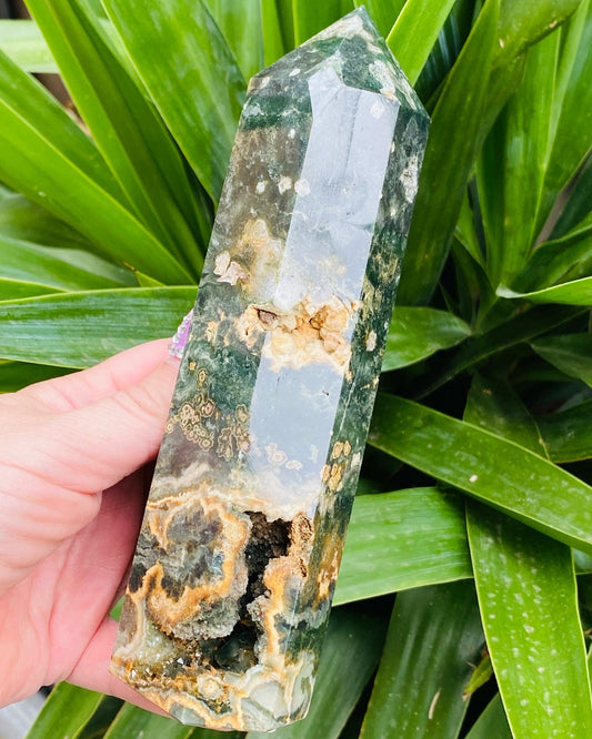 Ocean Jasper Tower